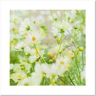 SCENERY 73 - Yellow White Chamomile Flower Blossom Green Leaves Posters and Art